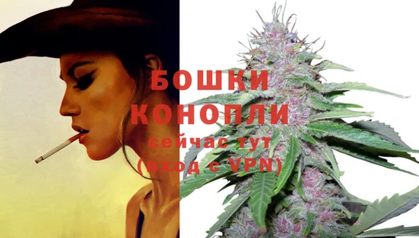 ГАЛЛЮЦИНОГЕННЫЕ ГРИБЫ Нягань